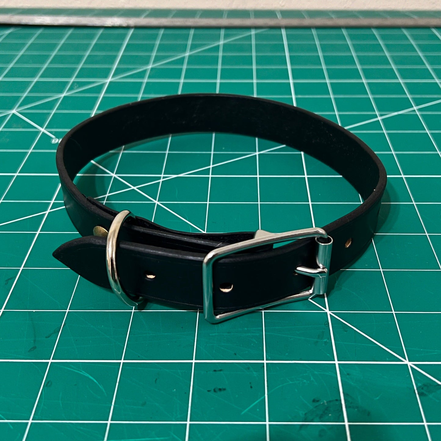 Black leather collar with silver buckle on a green cutting mat