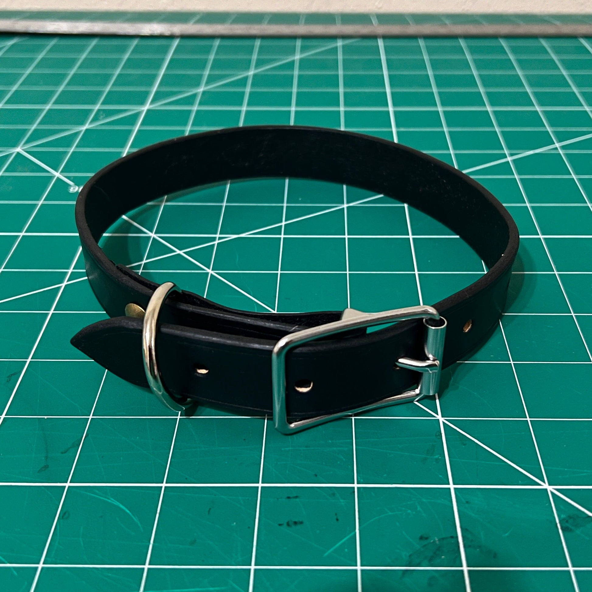 Black leather collar with silver buckle on a green cutting mat